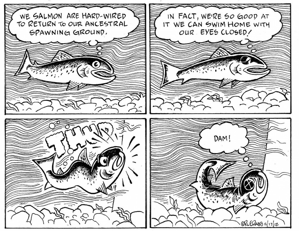 Salmon674